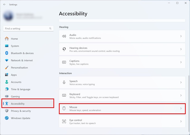 Open the Accessibility settings and click Mouse in the column on the right